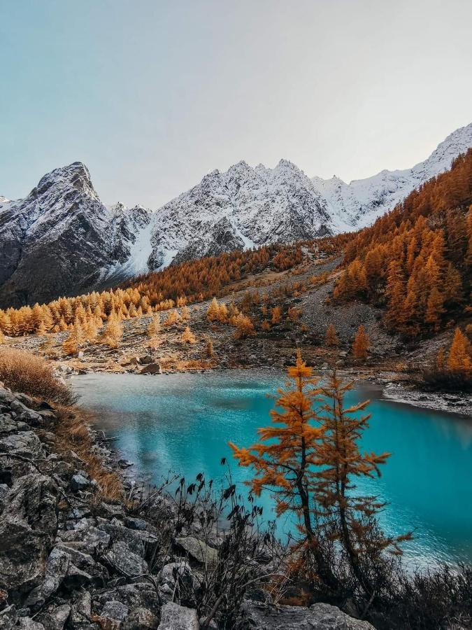 Charmant T2 Proche Serre Chevalier Vallee 4 Personnes Briançon Dış mekan fotoğraf